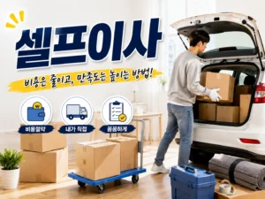 차량만이용/ 셀프이사